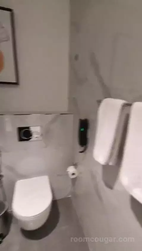 One-Bedroom Suite bathroom picture #10