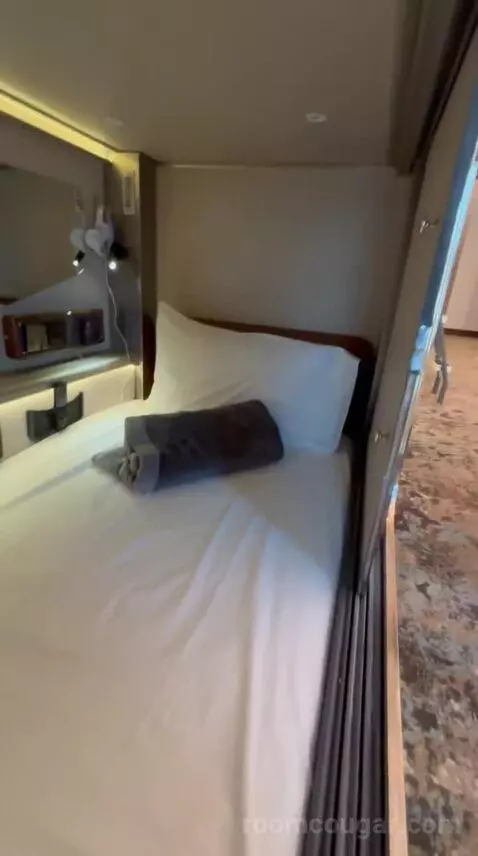 Standard (Pod Room 225) bed picture #1