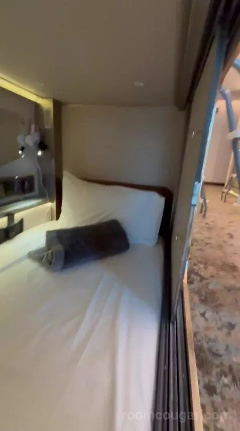 Standard (Pod Room 225) bed picture #3