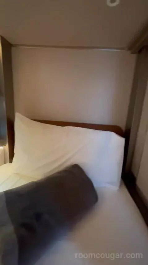 Standard (Pod Room 225) bed picture #4