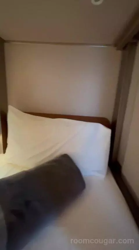 Standard (Pod Room 225) bed picture #5