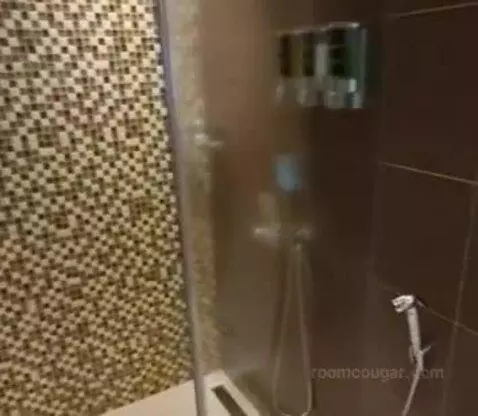 Standard (Standard roo) bathroom picture #4