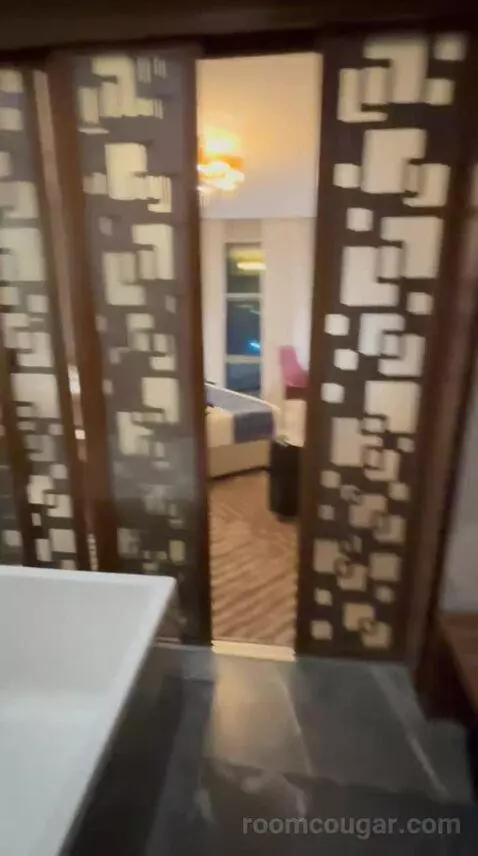 Deluxe King Room bathroom picture #5