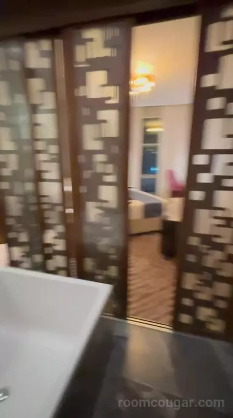 Deluxe King Room bathroom picture #6