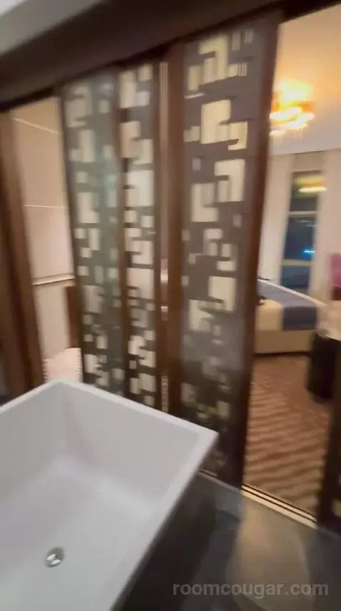 Deluxe King Room bathroom picture #8