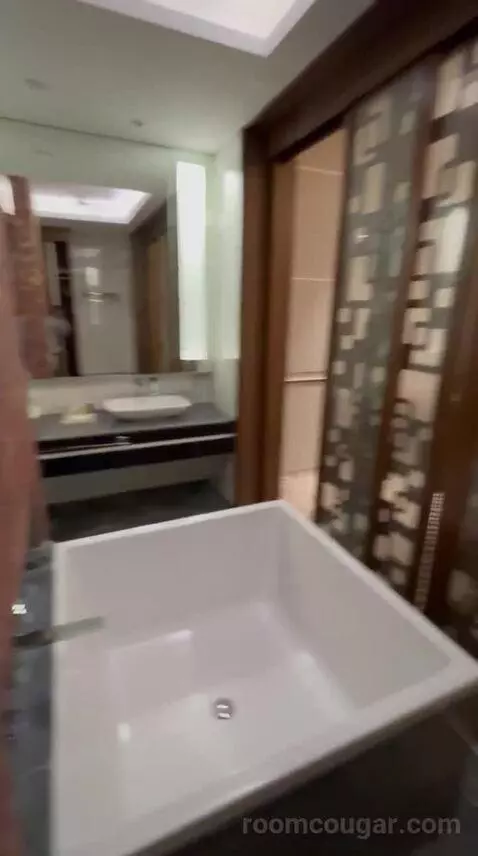 Deluxe King Room bathroom picture #9