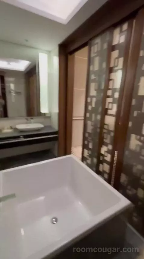 Deluxe King Room bathroom picture #10