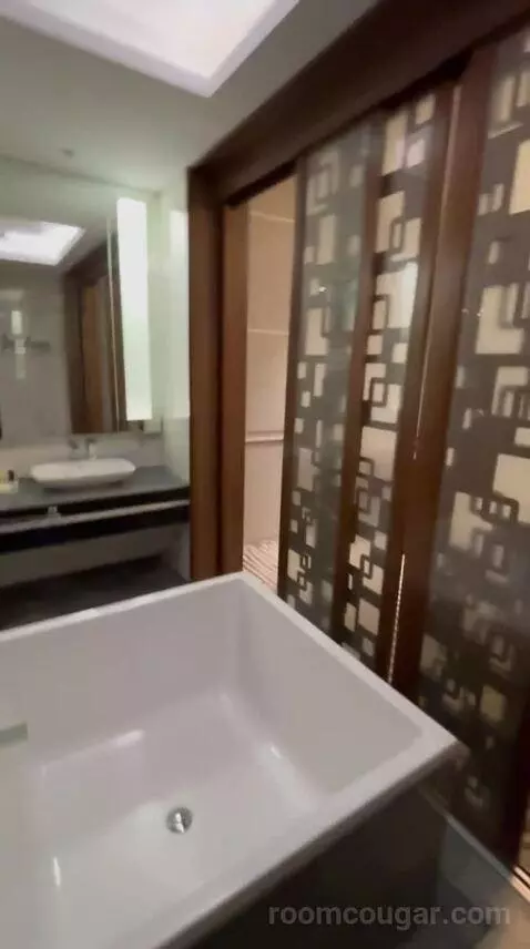 Deluxe King Room bathroom picture #11