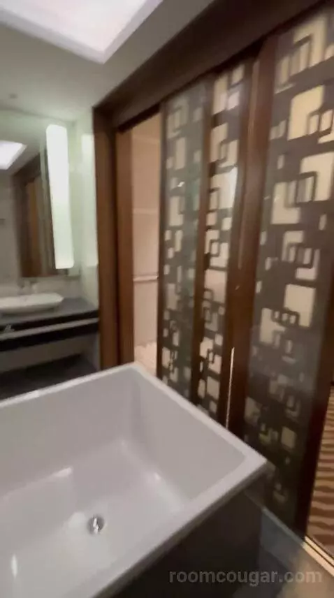 Deluxe King Room bathroom picture #12