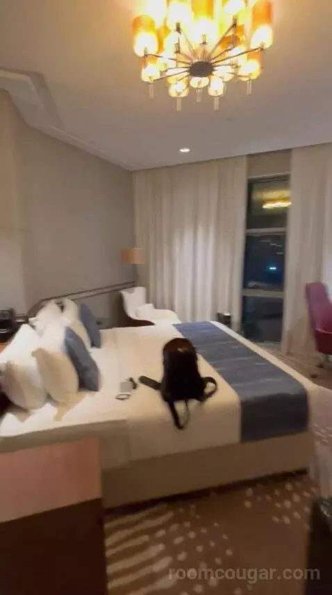 Deluxe King Room bed picture #3
