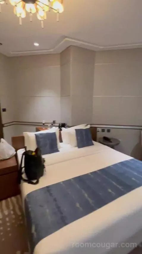 Deluxe King Room bed picture #9