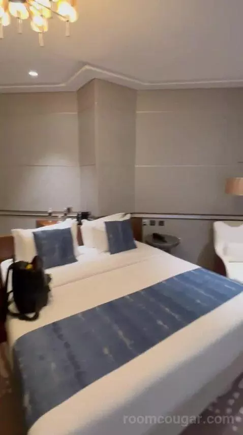 Deluxe King Room bed picture #10