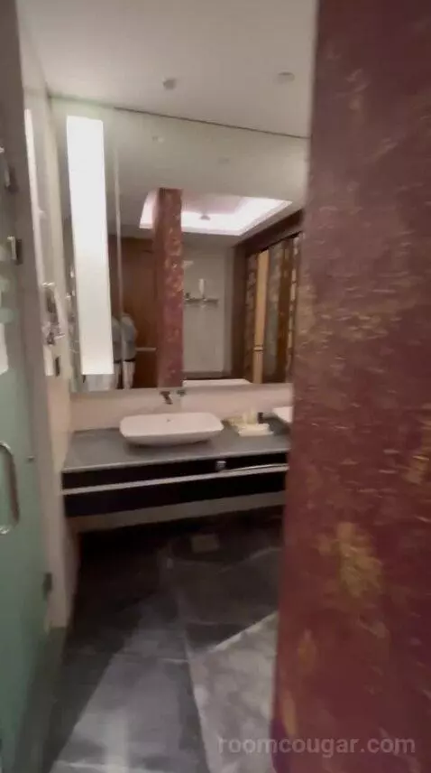 Deluxe King Room bathroom picture #3
