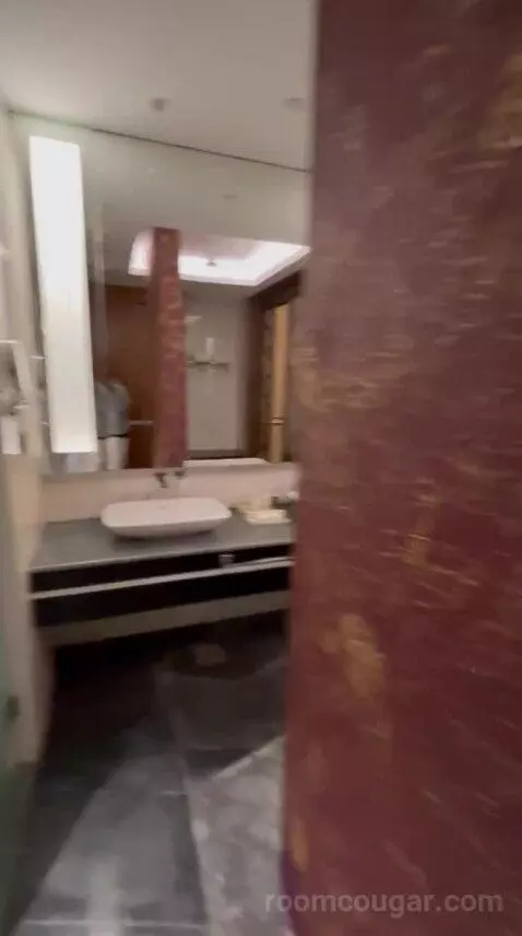 Deluxe King Room bathroom picture #4