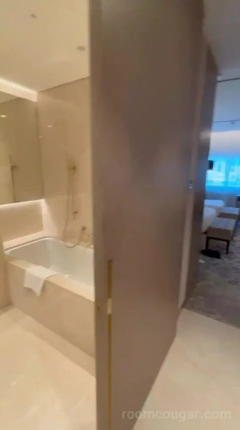 Premium Twin Room (#314) bathroom picture #2