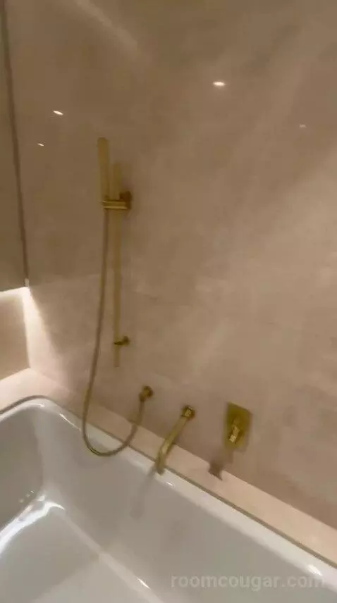 Premium Twin Room (#314) bathroom picture #7