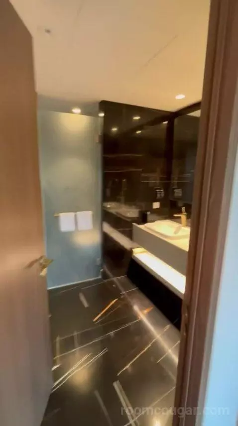 Studio Suite (#441) bathroom picture #3