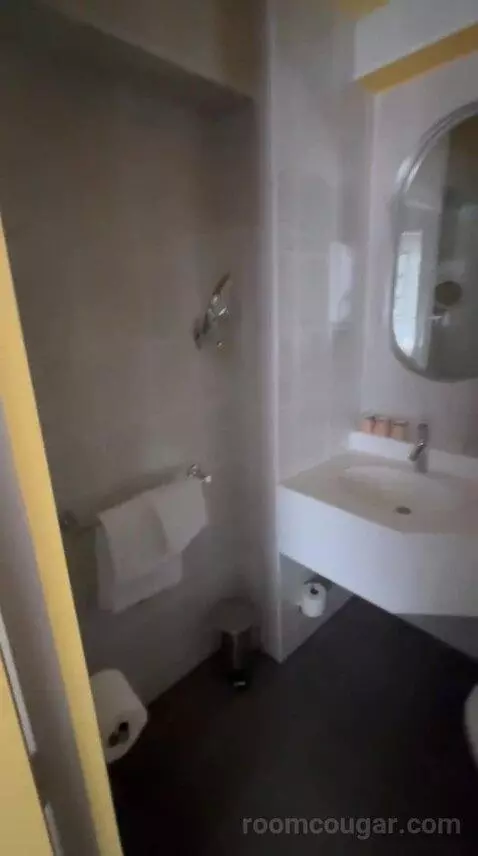 Standard Room with One Double Bed and One Single Bed bathroom picture #4