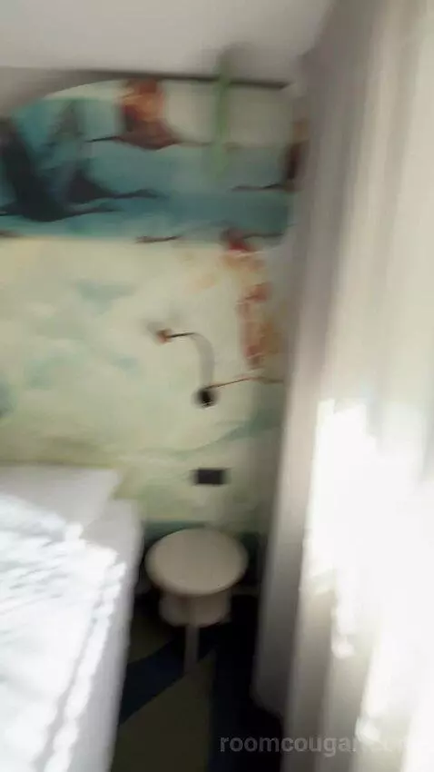 Standard Double Room picture #12