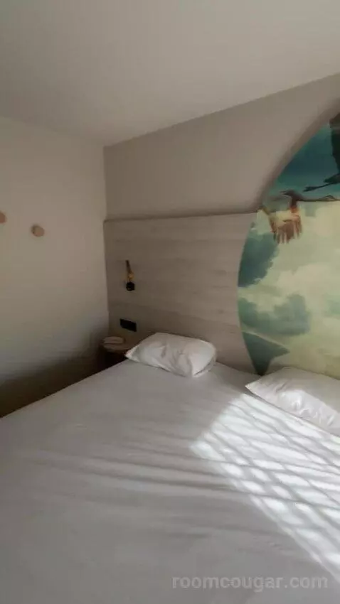 Standard Double Room picture #15