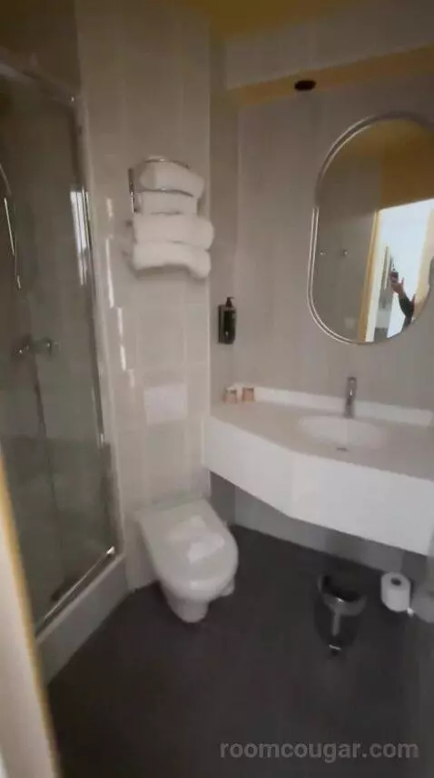 Standard Double Room bathroom picture #10