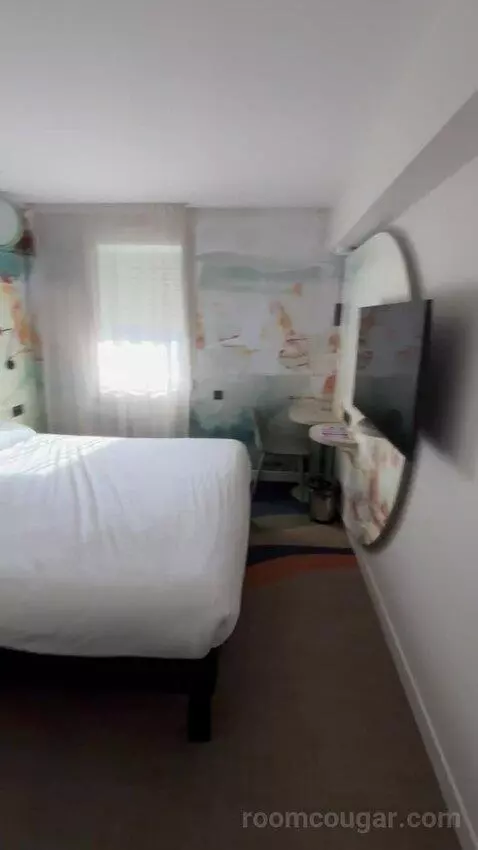 Standard Double Room picture #22