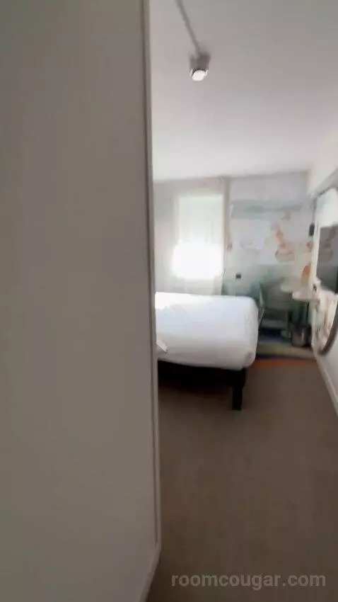 Standard Double Room picture #23