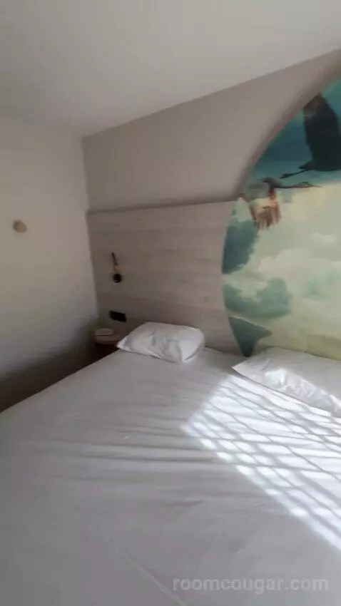 Standard Double Room picture #9