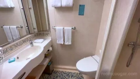 Balcony Cabin (#8628) bathroom picture #5