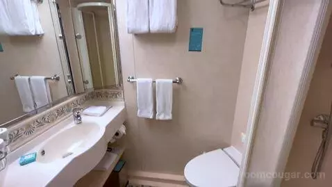 Balcony Cabin (#8628) bathroom picture #7