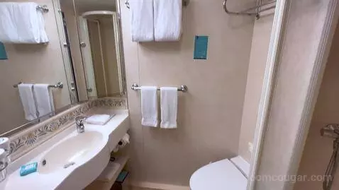 Balcony Cabin (#8628) bathroom picture #8