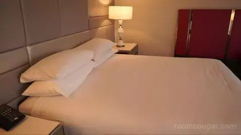 Flamingo Premium Room ,1 King (#25173) bed picture #5