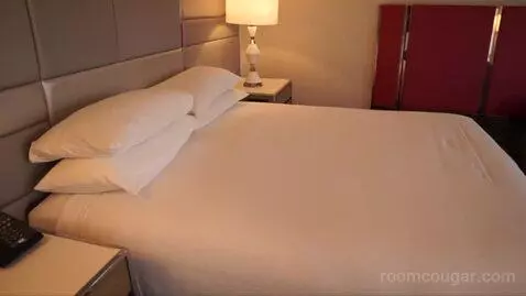 Flamingo Premium Room ,1 King (#25173) bed picture #8