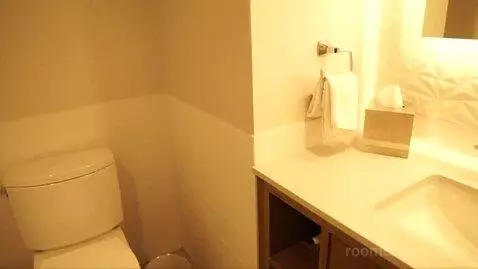 Flamingo Premium Room ,1 King (#25173) bathroom picture #6