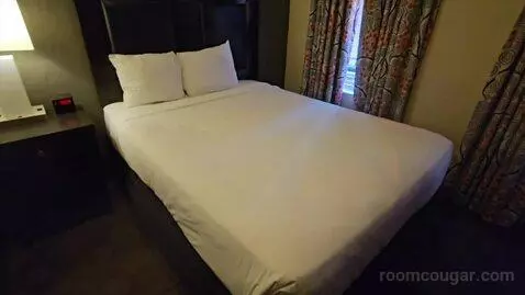 Queen Room (#223) bed picture #10