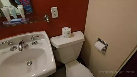 Queen Room (#223) bathroom picture #3