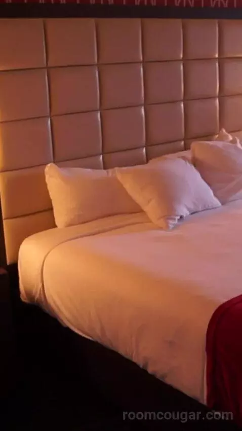 Resort Studio Suite, 1 King (576A) bed picture #9