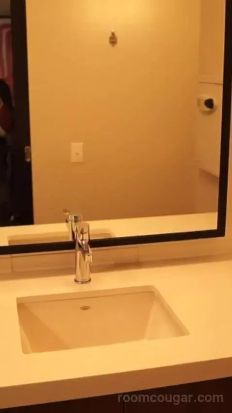 Luxe Room, 1 King (#1613) bathroom picture #5