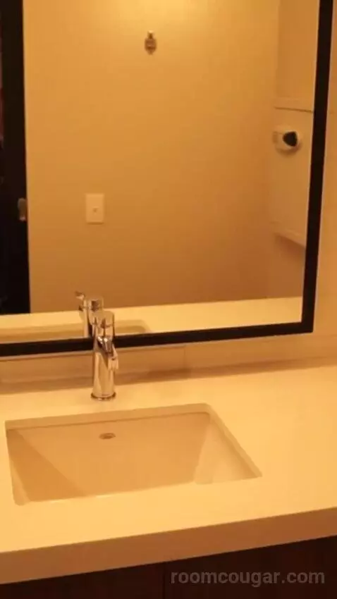 Luxe Room, 1 King (#1613) bathroom picture #6