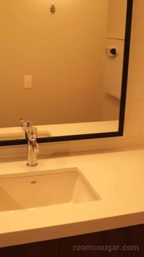 Luxe Room, 1 King (#1613) bathroom picture #7