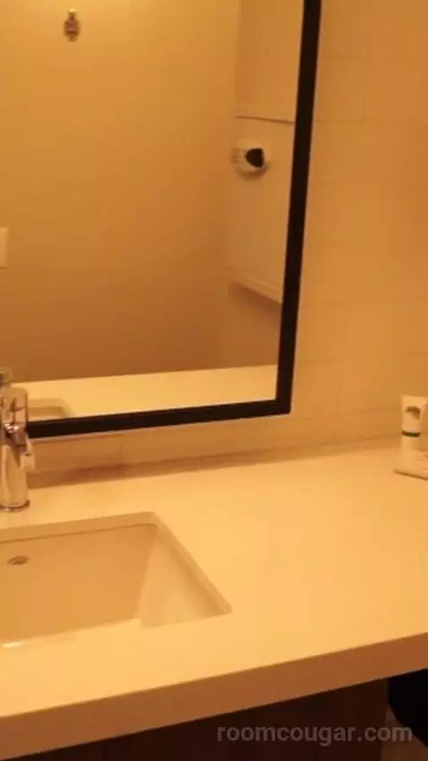 Luxe Room, 1 King (#1613) bathroom picture #8