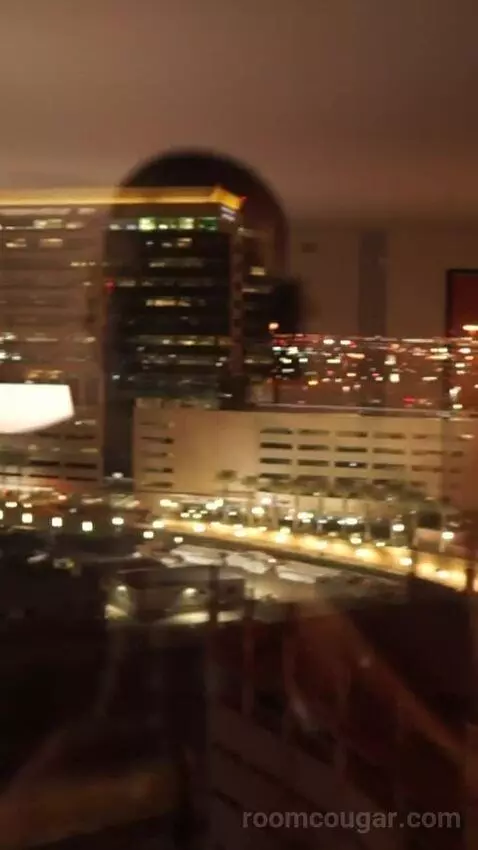 Luxe Room, 1 King (#1613) view picture #3