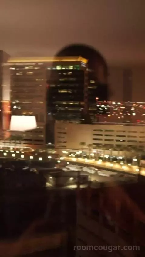 Luxe Room, 1 King (#1613) view picture #4