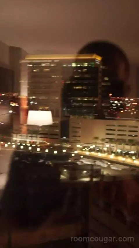 Luxe Room, 1 King (#1613) view picture #5
