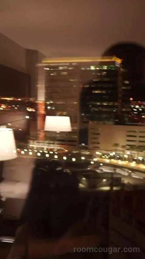 Luxe Room, 1 King (#1613) view picture #6