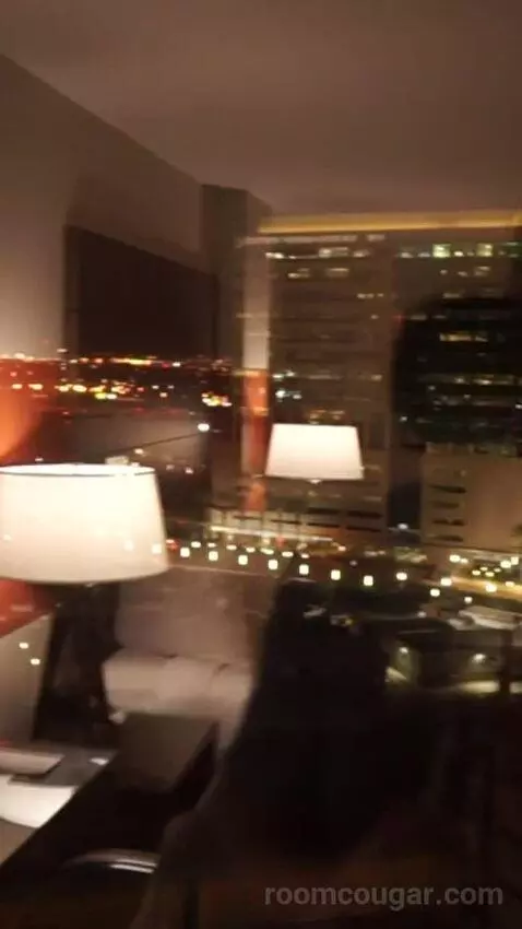 Luxe Room, 1 King (#1613) view picture #8