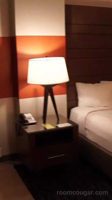 Luxe Room, 1 King (#1613) bed picture #1