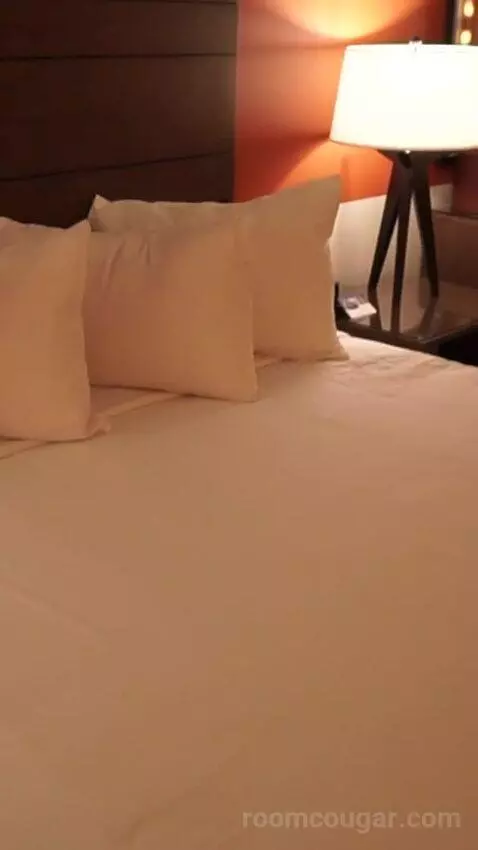 Luxe Room, 1 King (#1613) bed picture #7