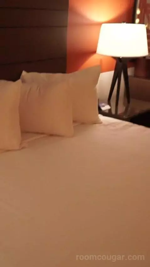 Luxe Room, 1 King (#1613) bed picture #8