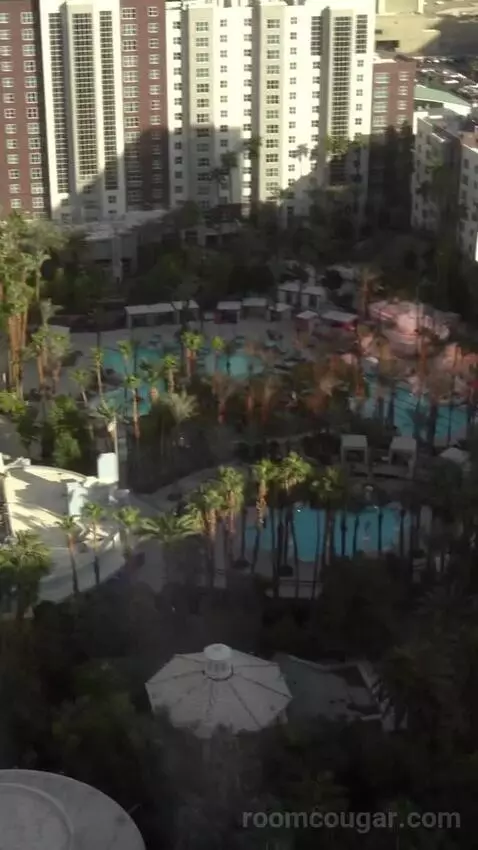 Flamingo Executive Room, 1 King (#28129) view picture #5